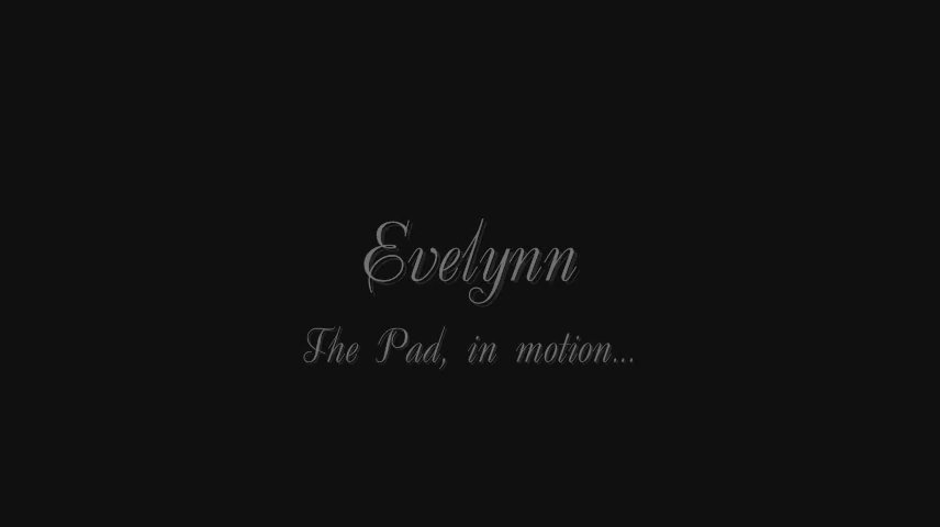 Evelynn The Pad 03